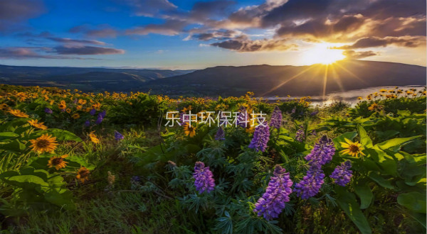 污水處理廠活性污泥法日常管理中，需要監(jiān)測(cè)與注意的參數(shù)-樂(lè)中環(huán)保
