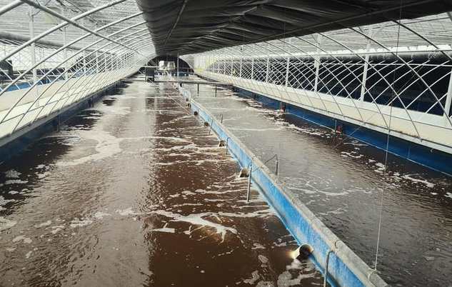 畜禽污水處理的方法、步驟（主流畜禽污水處理工藝有哪些）